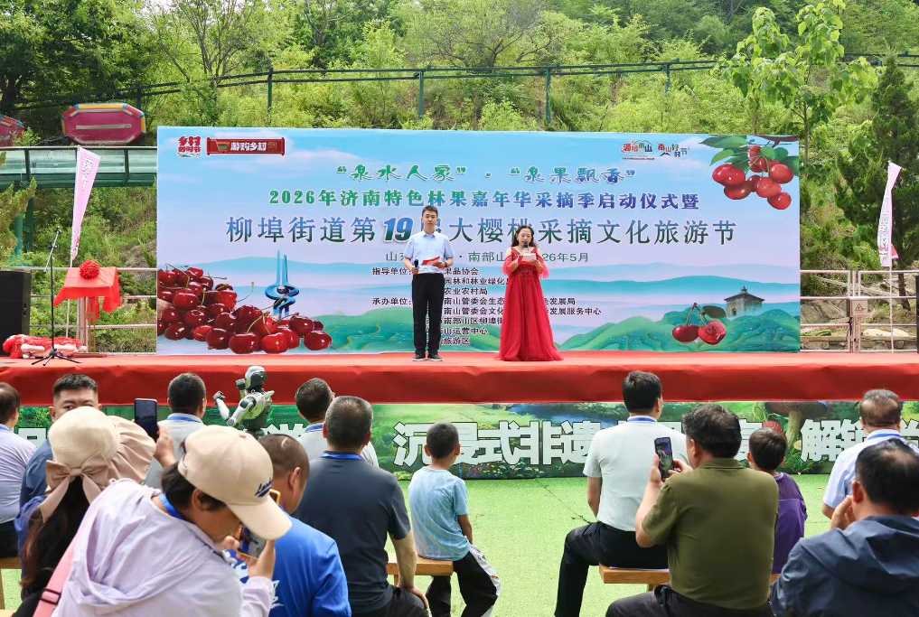 “泉果飘香”第二届济南特色林果嘉年华采摘季启动仪式暨柳埠街道第19届大樱桃文化旅游活动举行(图1)
